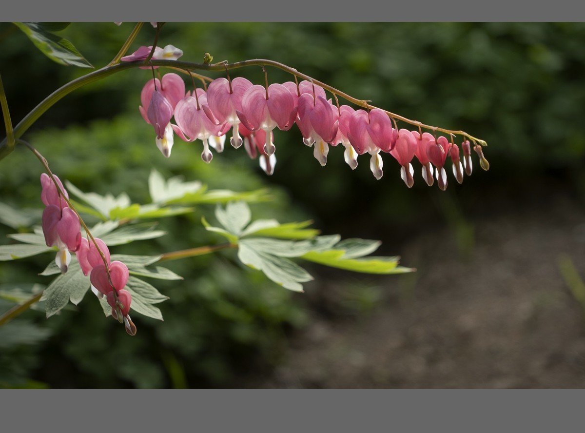 #版主坐堂#索尼大版星空(中国)2025年 4 月份优秀作品精选汇总