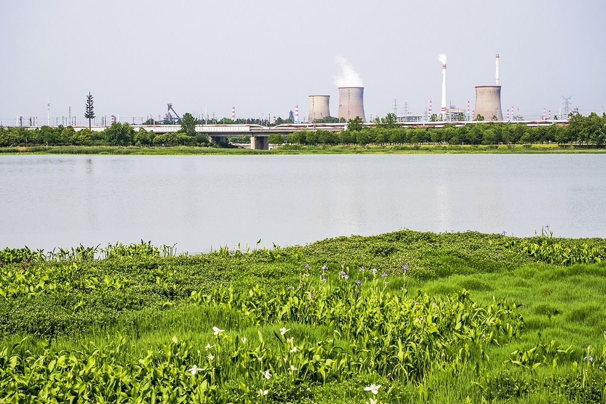 杨春湖景区春色