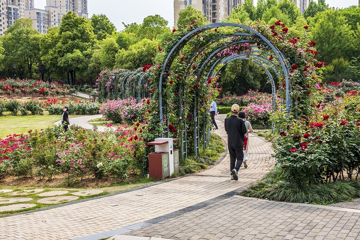 杨春湖景区春色