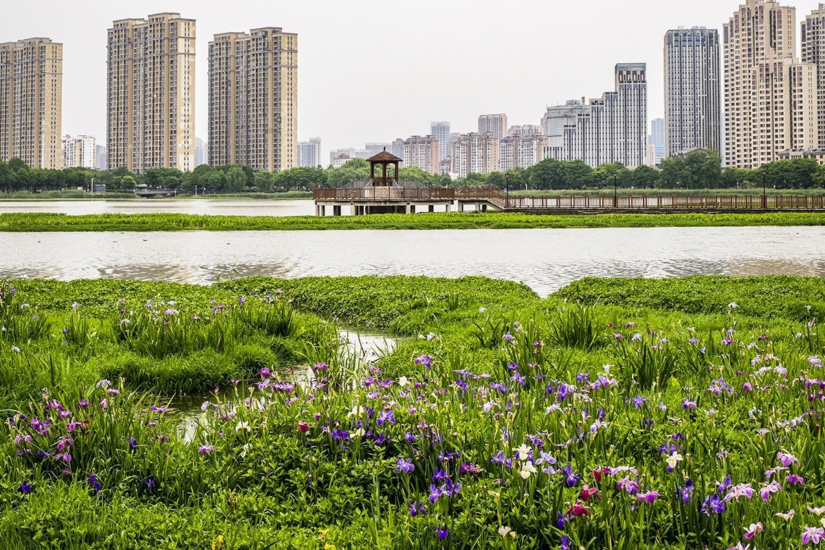 杨春湖景区春色