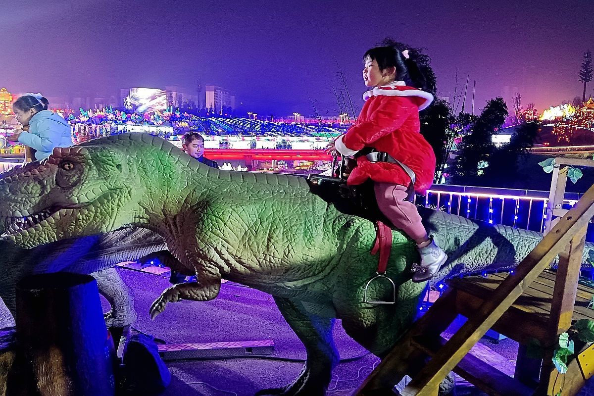 手机片——逛自贡灯会（完结篇）