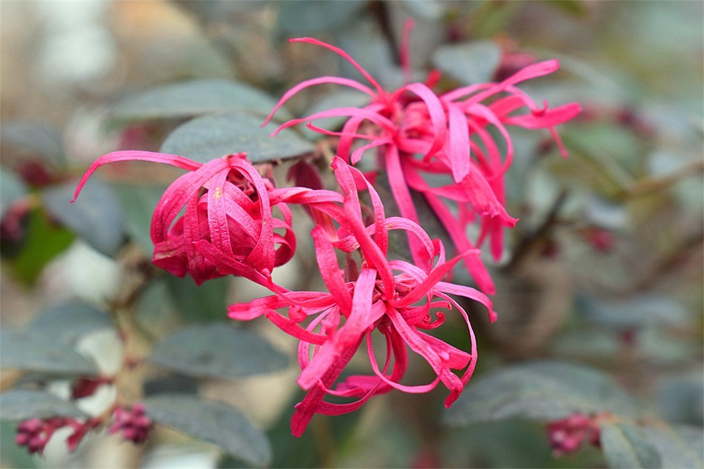 ··走走拍拍·a11·