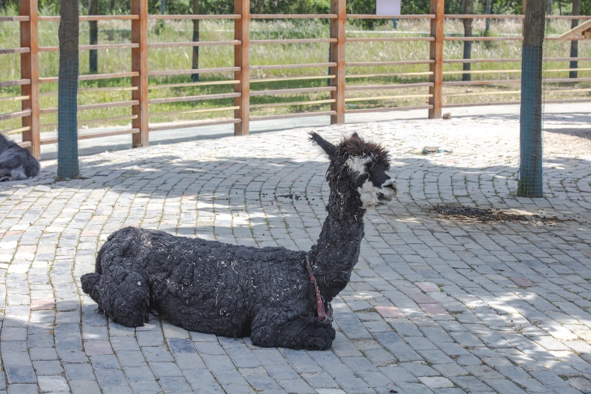 洪泽湖湿地公园5