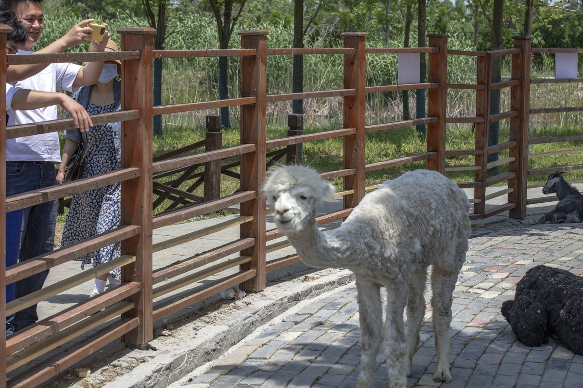洪泽湖湿地公园5