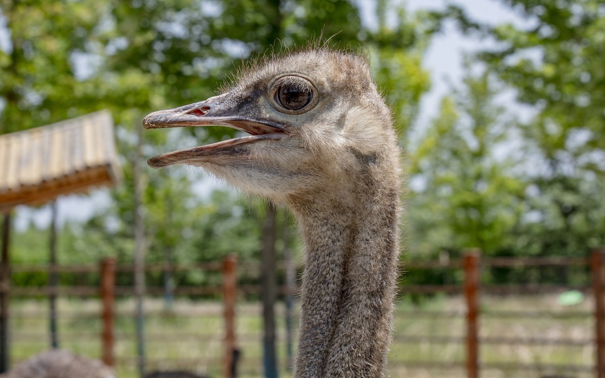 洪泽湖湿地公园5