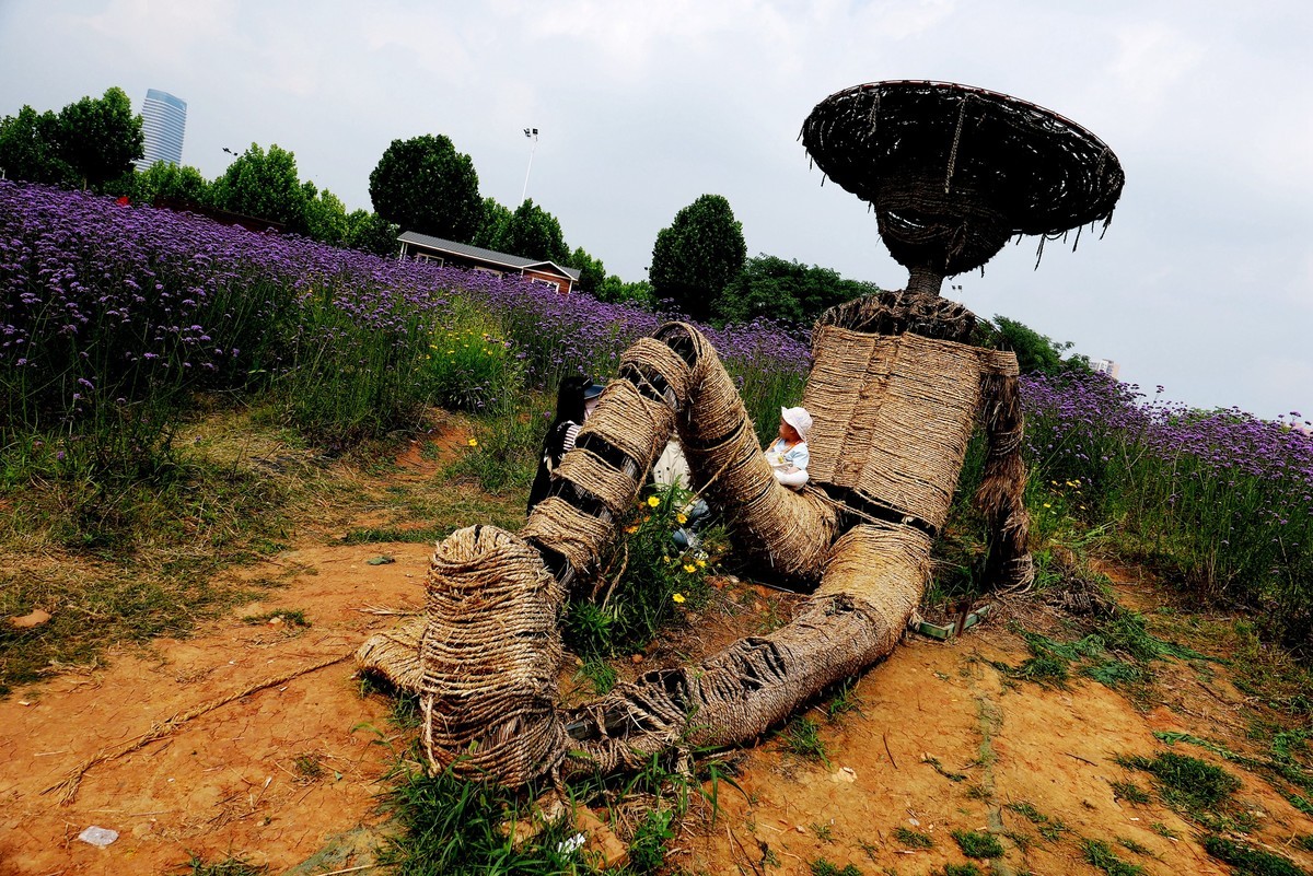 武汉映像---光谷四路的马蹄草！