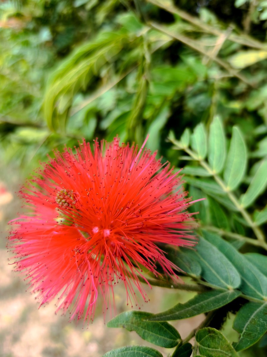 2024春节 滇桂沿边行（20）俯瞰防城港