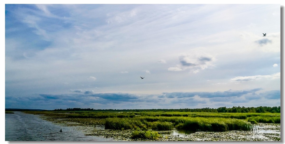 “陆地行舟”之--埃尔布隆格运河游记