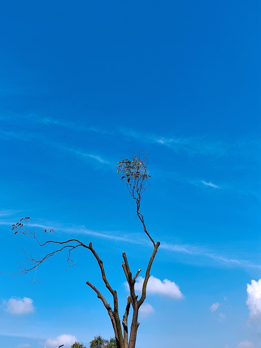 城市光影碎片之六十四