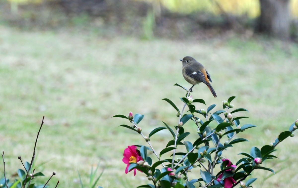 城市光影碎片之七十三