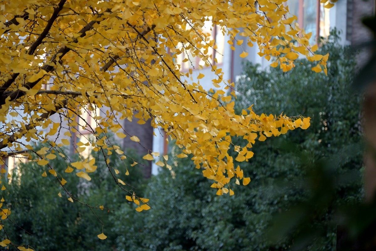 城市光影碎片之七十三