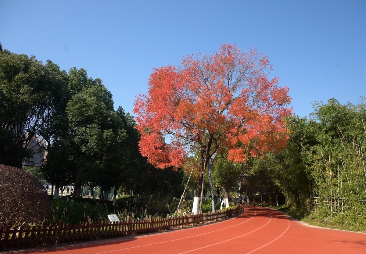 城市光影碎片之七十三