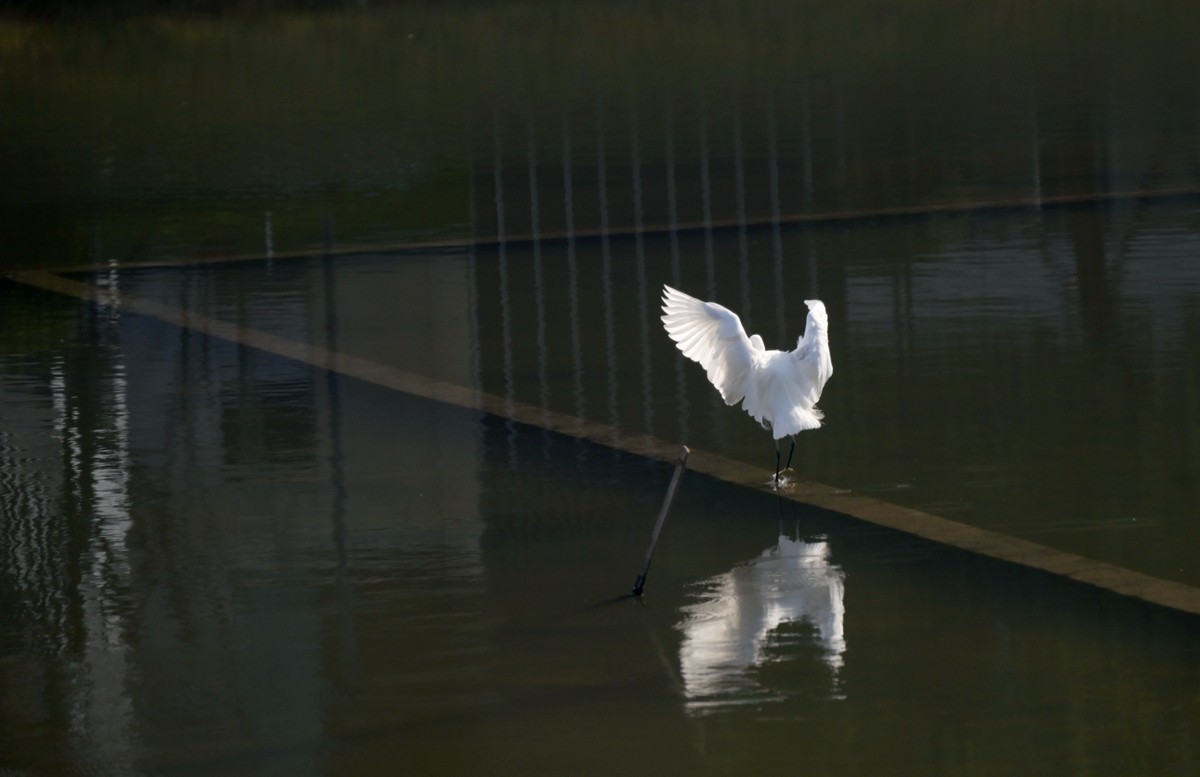 城市光影碎片之七十三