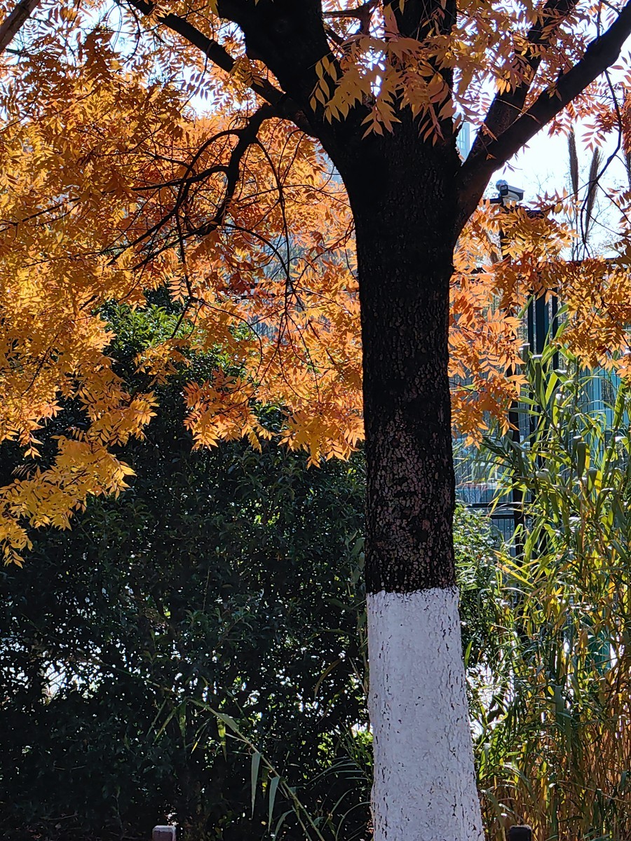 城市光影碎片之七十三