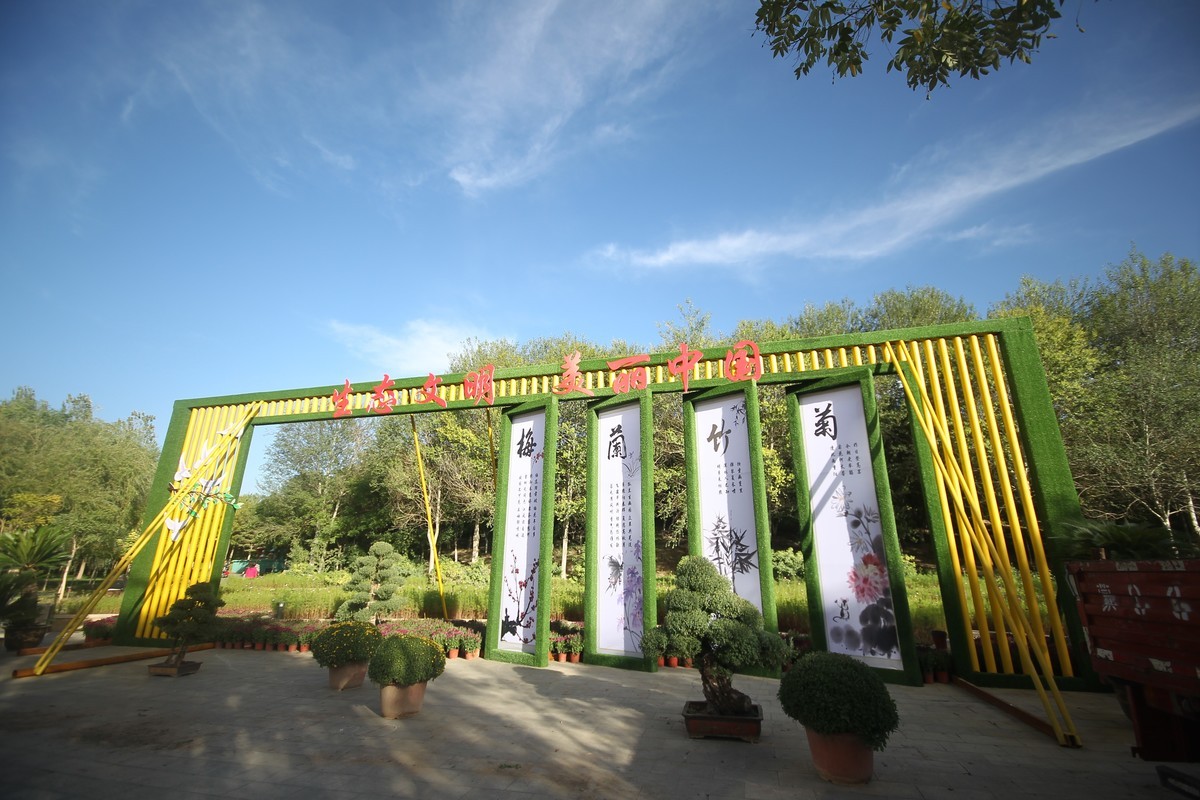 乌海秋菊展（原片）