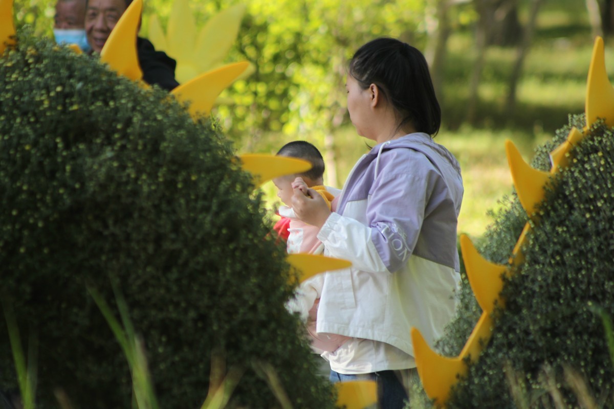 乌海秋菊展（原片）