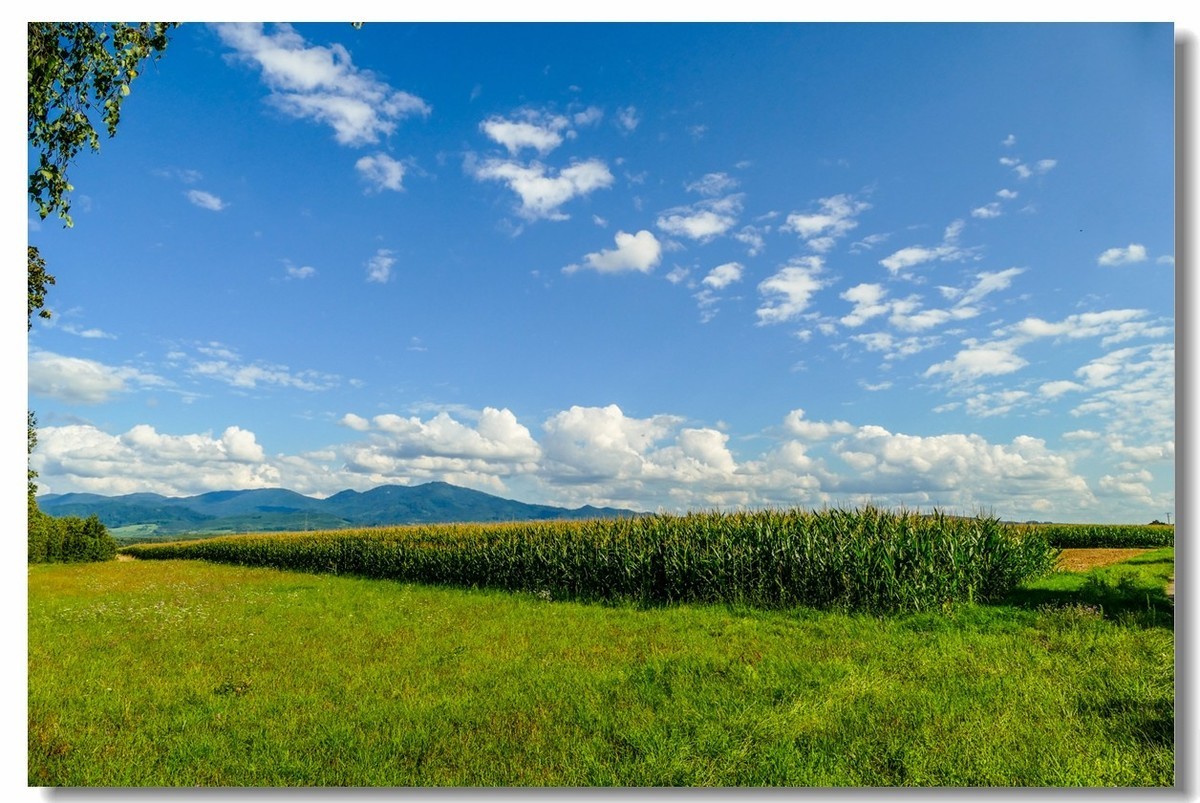 骑行游拍（南德）