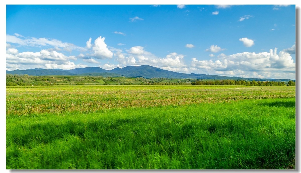 骑行游拍（南德）