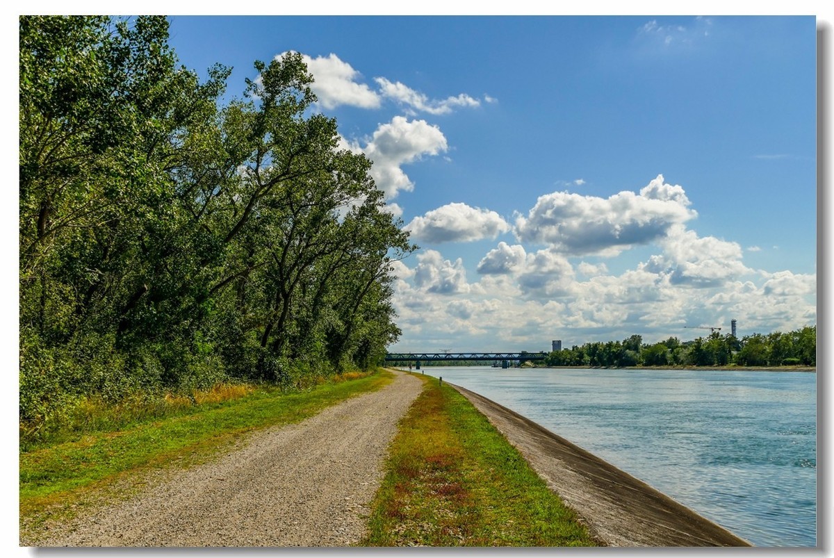 德法之母亲河--莱茵大运河