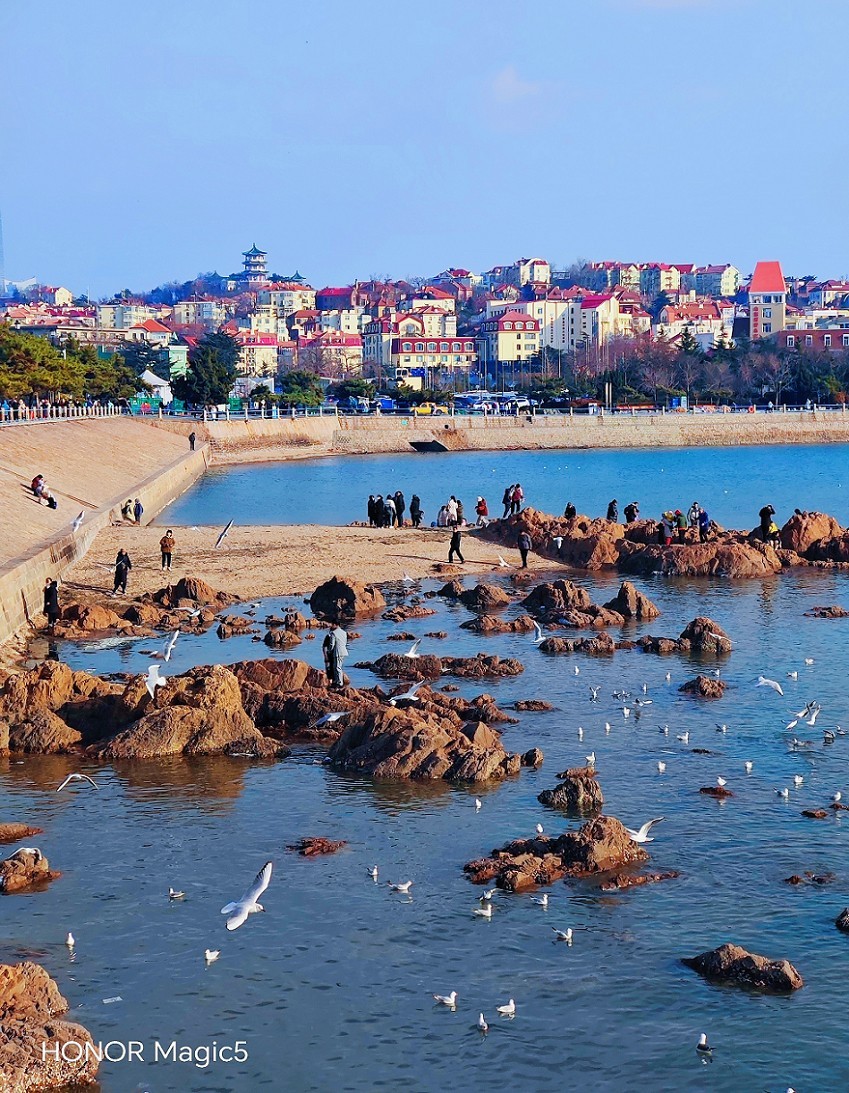 冬季杂拍乱七八糟《风景，海鸥和妹子》抢个位欣赏！哈哈！！