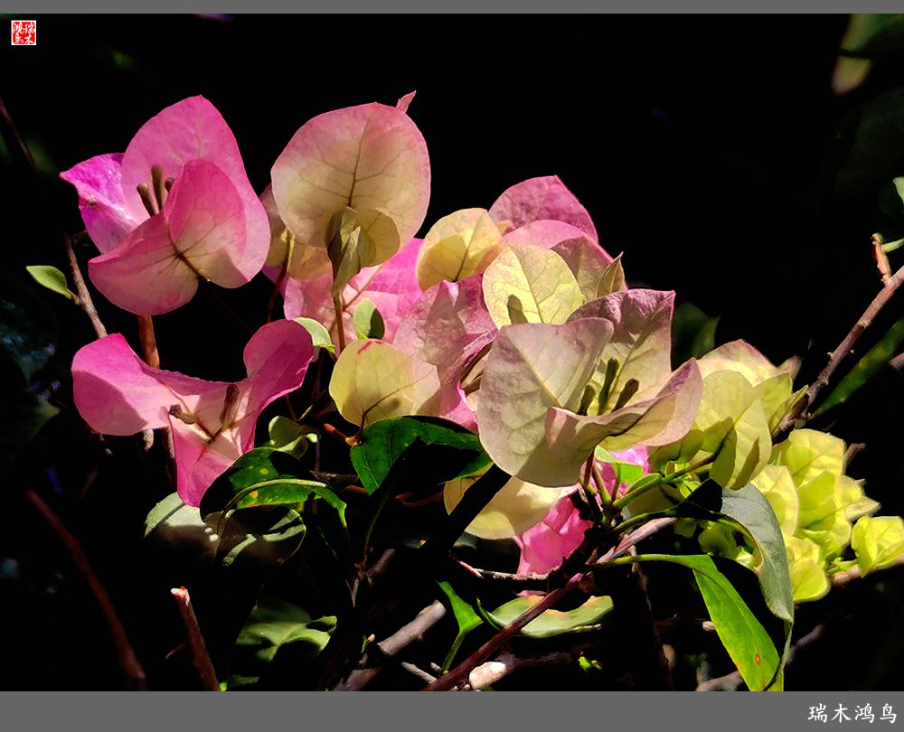 【印象潮汕】13.贤德之地，文脉相承的潮州韩文公祠