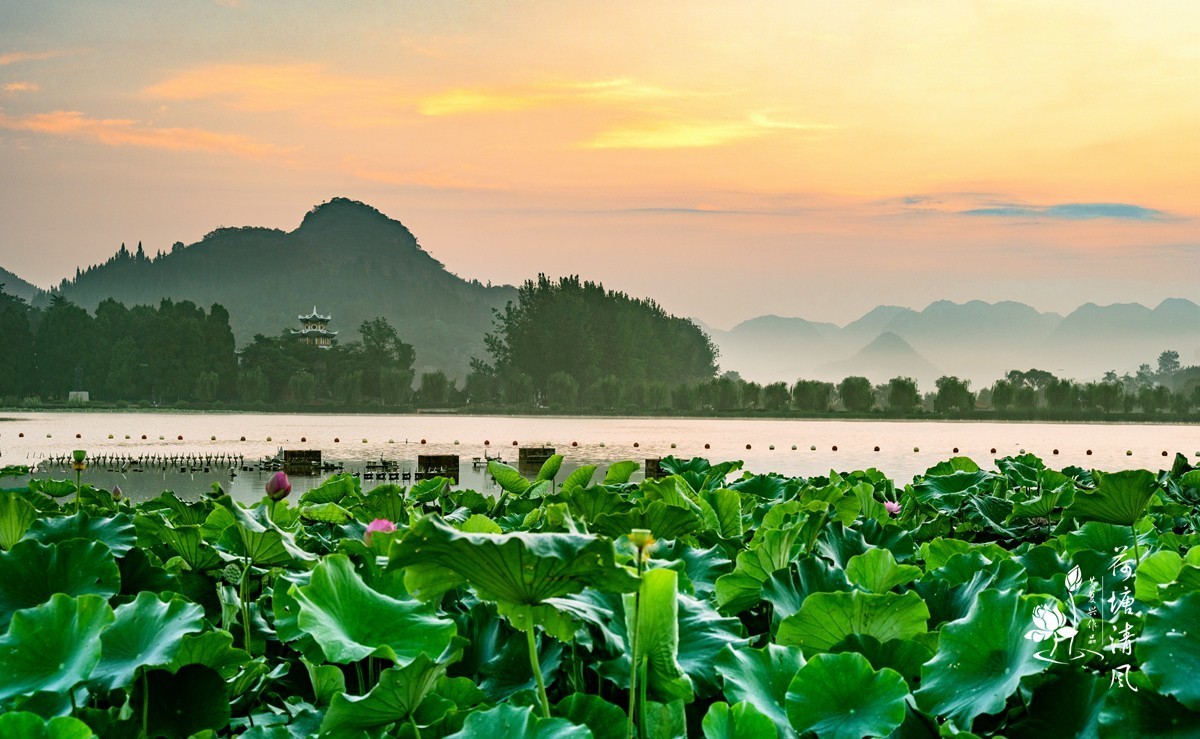 加油之城，美美安龙。晨雾中的招堤景区，十里荷塘风光。
