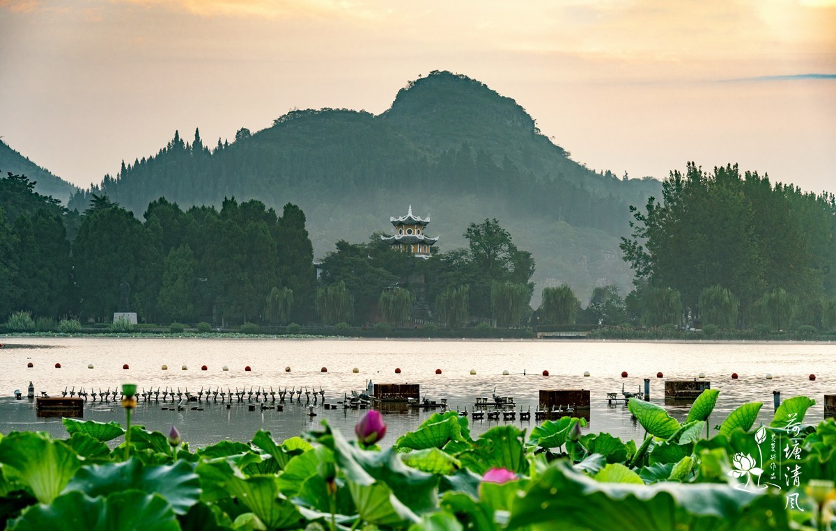 加油之城，美美安龙。晨雾中的招堤景区，十里荷塘风光。
