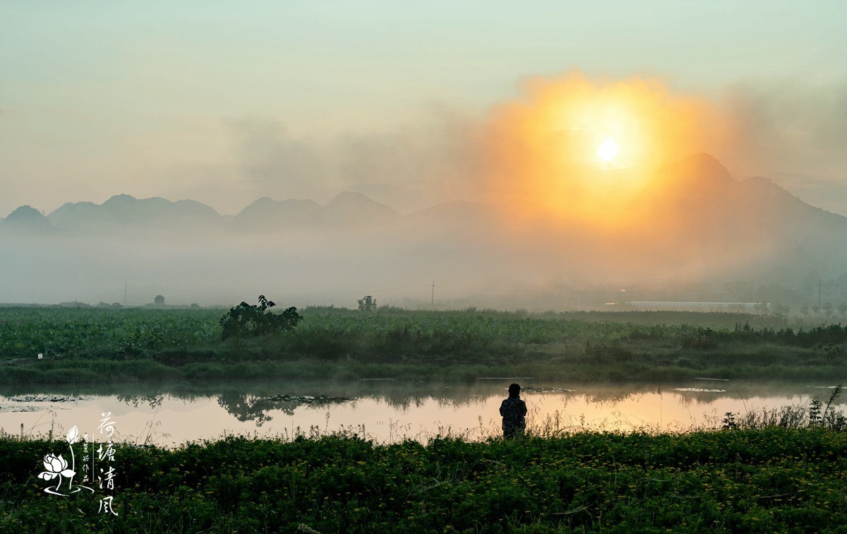 加油之城，美美安龙。晨雾中的招堤景区，十里荷塘风光。