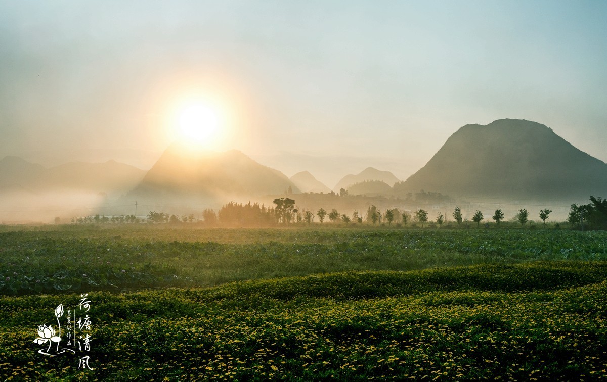 加油之城，美美安龙。晨雾中的招堤景区，十里荷塘风光。