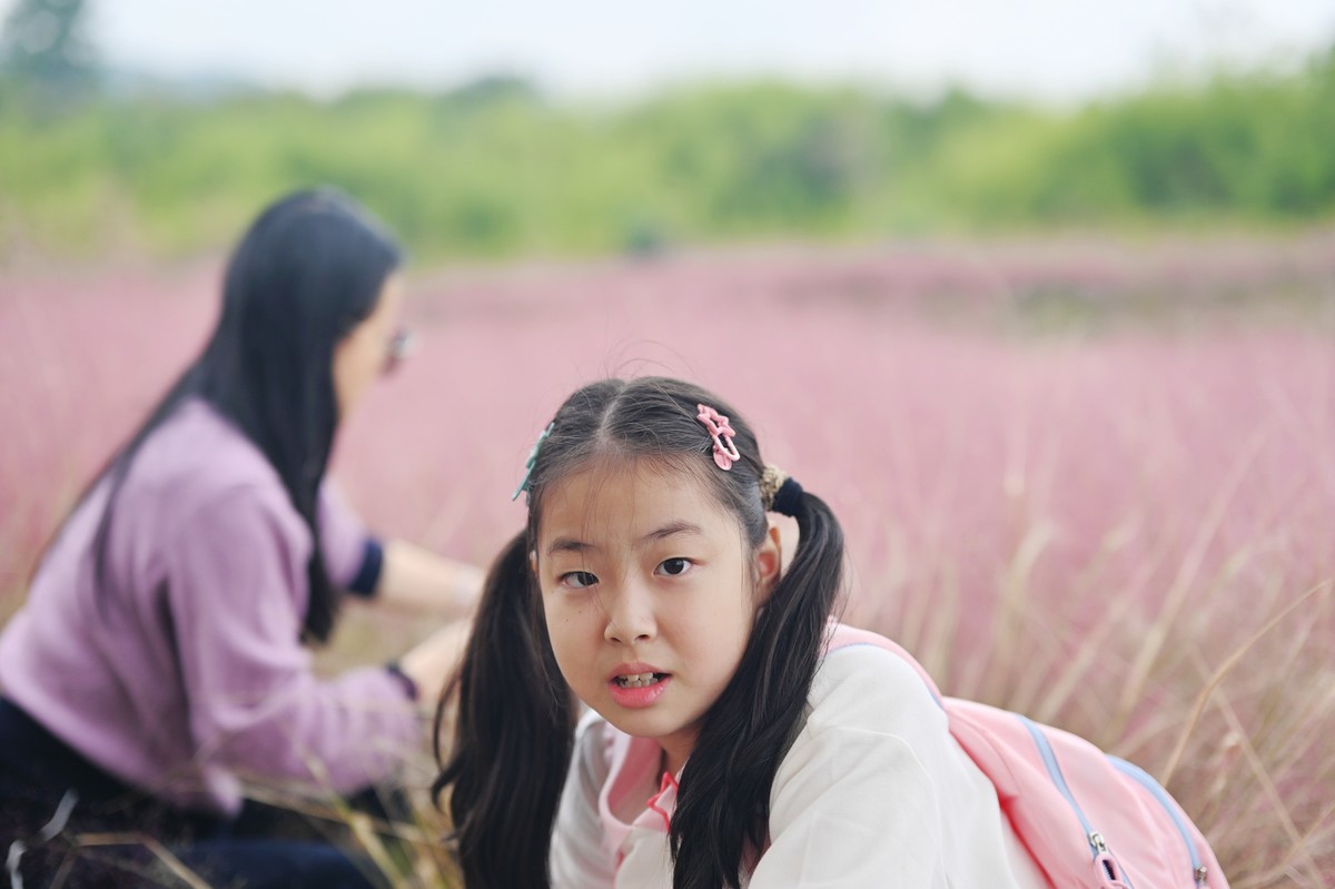 国庆游皖南山门粉黛花海随拍三