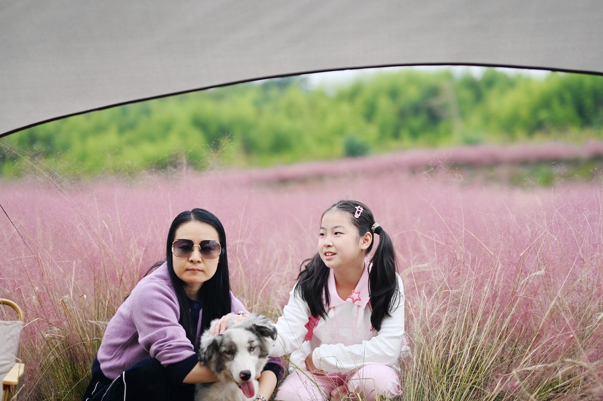 国庆游皖南山门粉黛花海随拍三