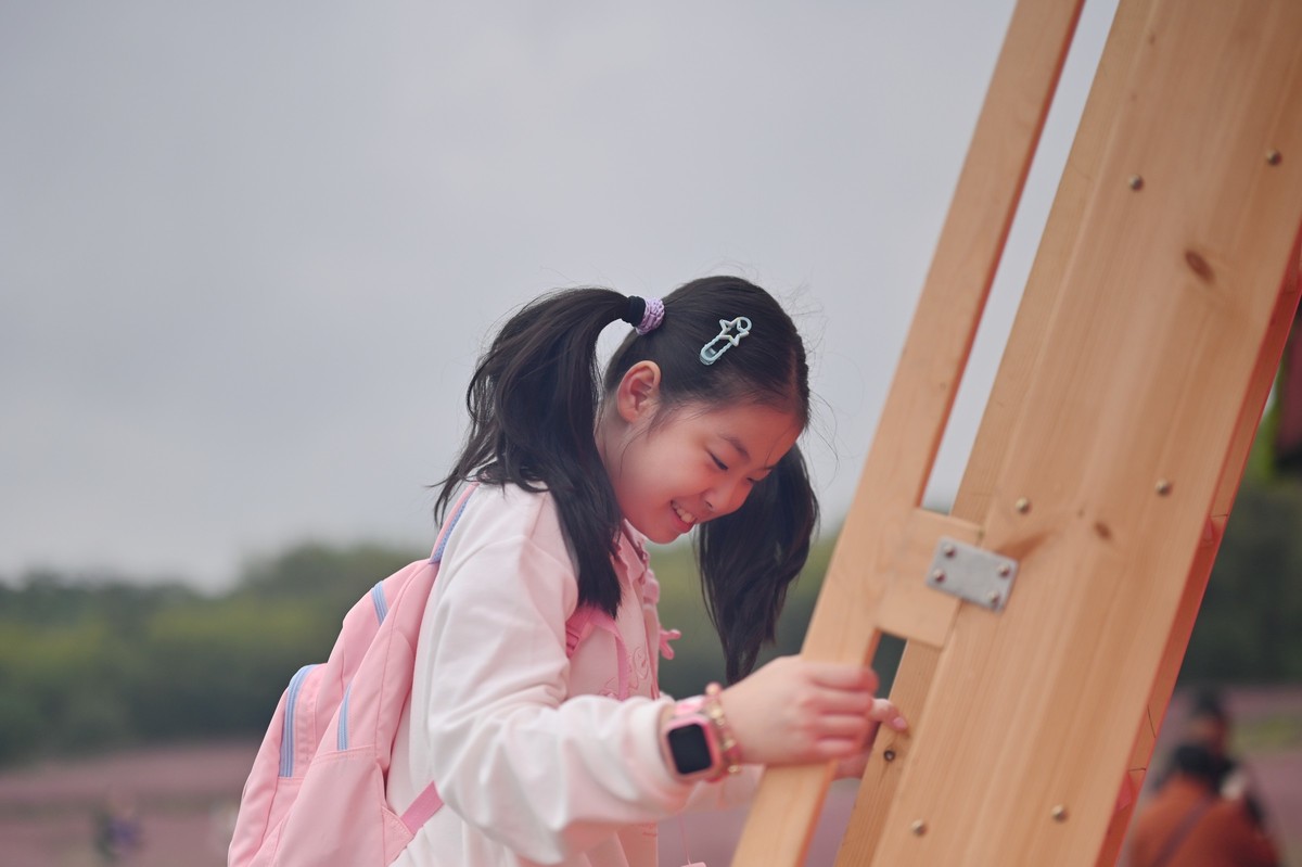 国庆游皖南山门粉黛花海随拍三