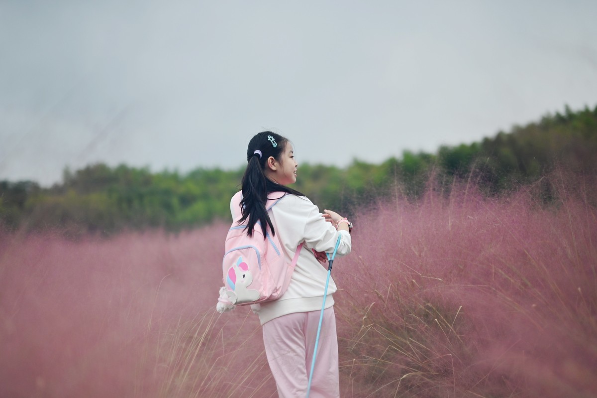 国庆游皖南山门粉黛花海随拍三