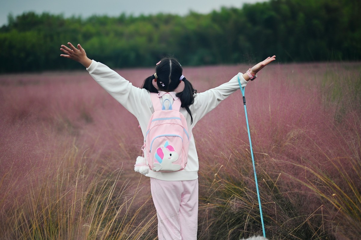 国庆游皖南山门粉黛花海随拍三