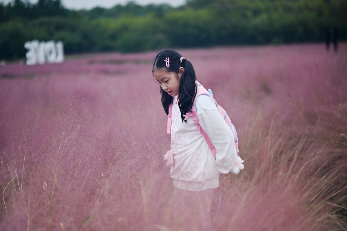 国庆游皖南山门粉黛花海随拍三