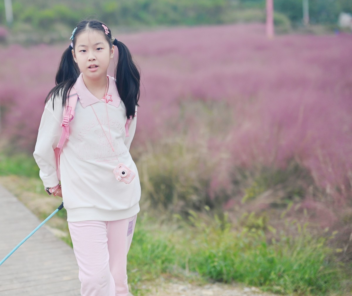 国庆游皖南山门粉黛花海随拍五