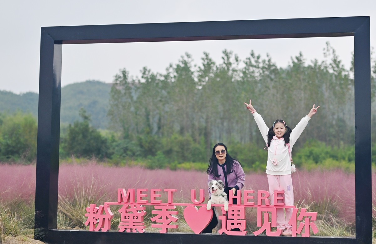 国庆游皖南山门粉黛花海随拍六