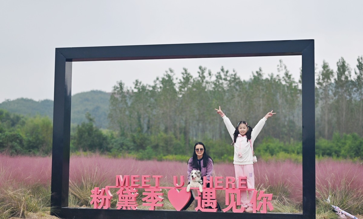 国庆游皖南山门粉黛花海随拍六