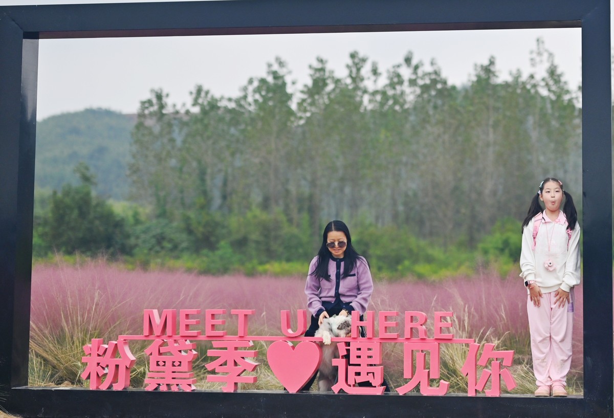 国庆游皖南山门粉黛花海随拍六