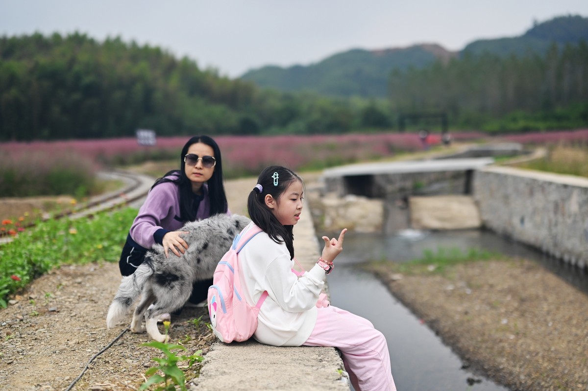 国庆游皖南山门粉黛花海随拍六