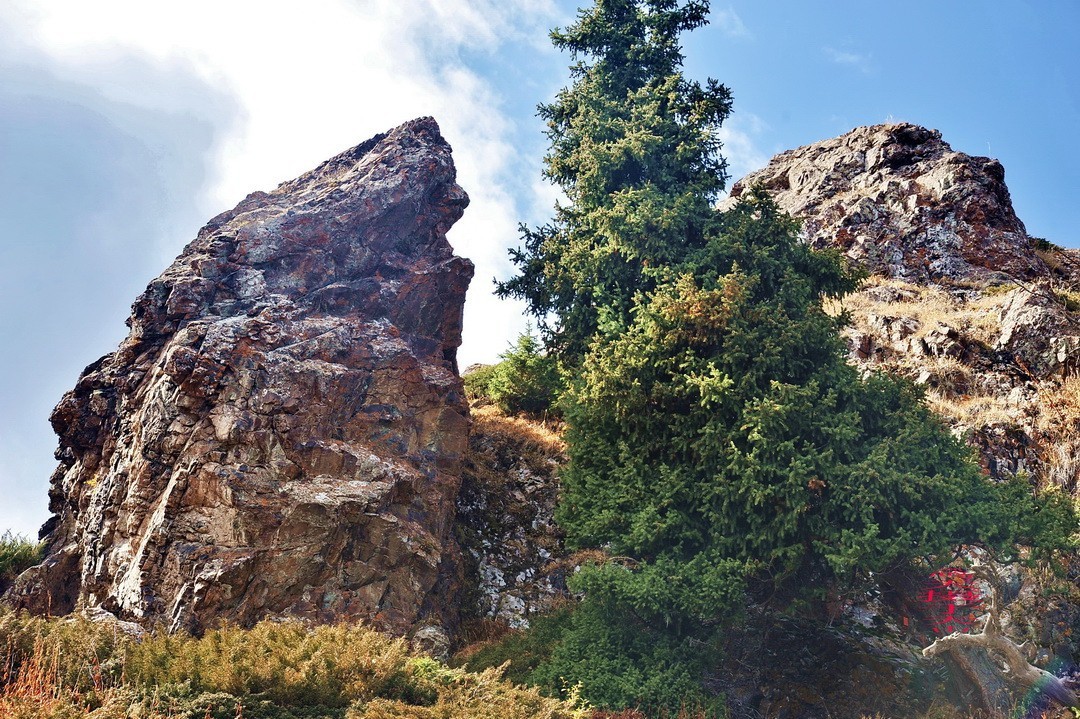 天山天池摄影|      周鸣天