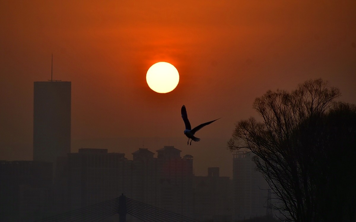 今日冬至   黄河精彩