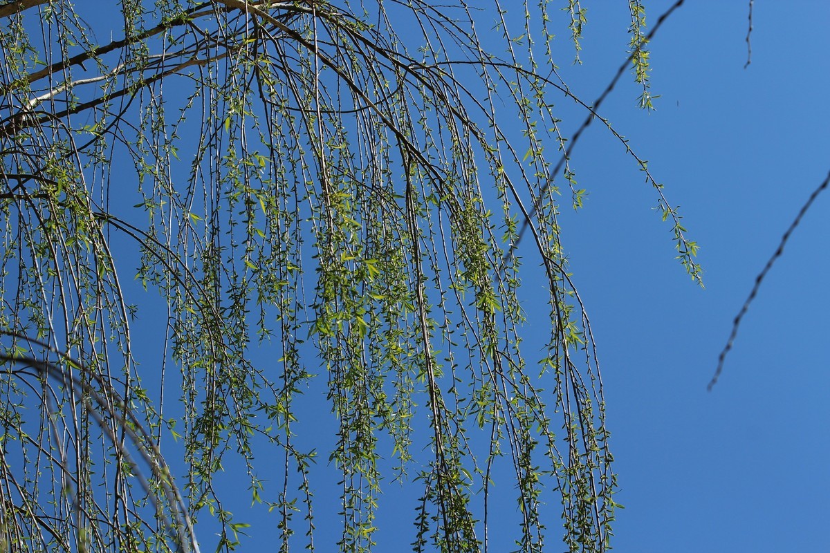 随拍一176