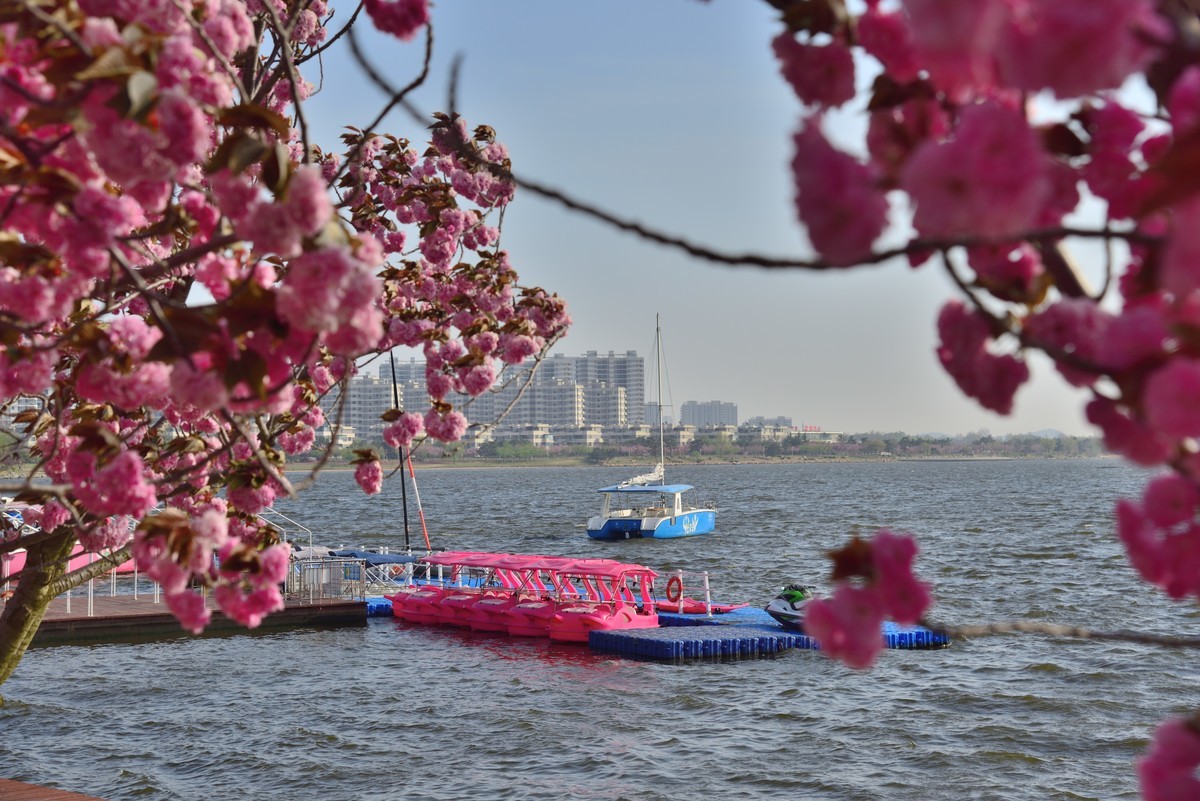 威海樱花湖公园
