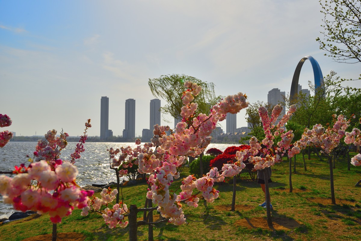 威海樱花湖公园