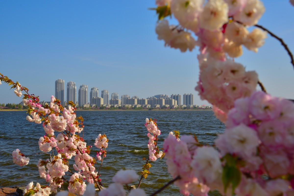 威海樱花湖公园