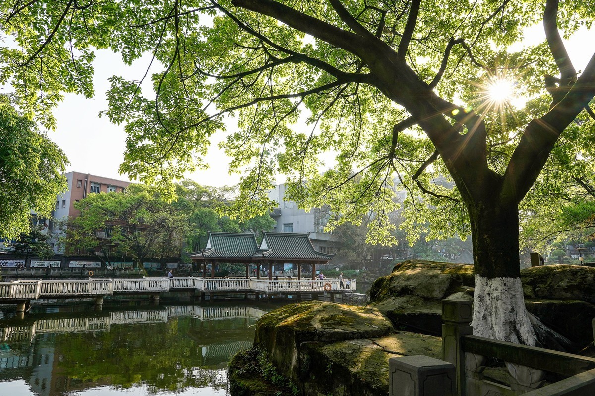 社区公园映朝阳