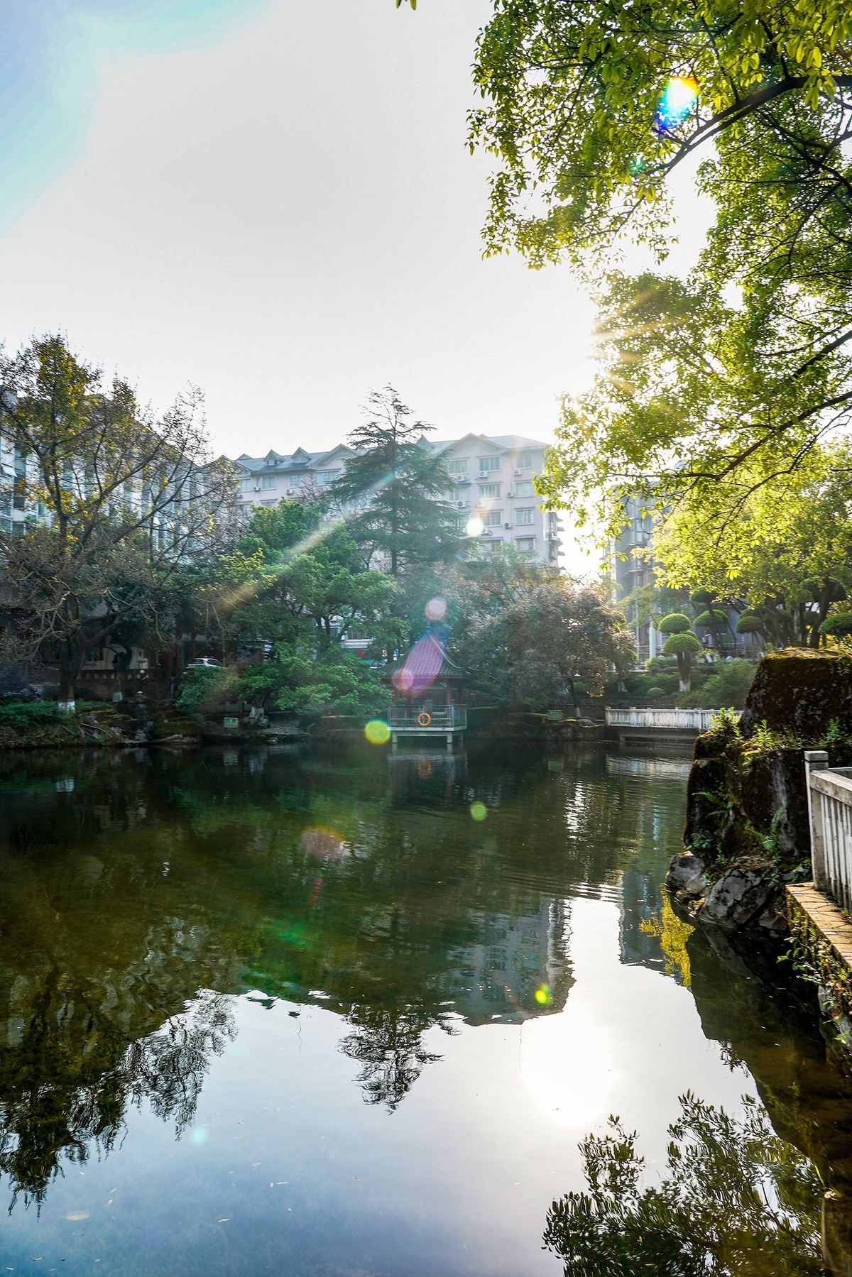 社区公园映朝阳