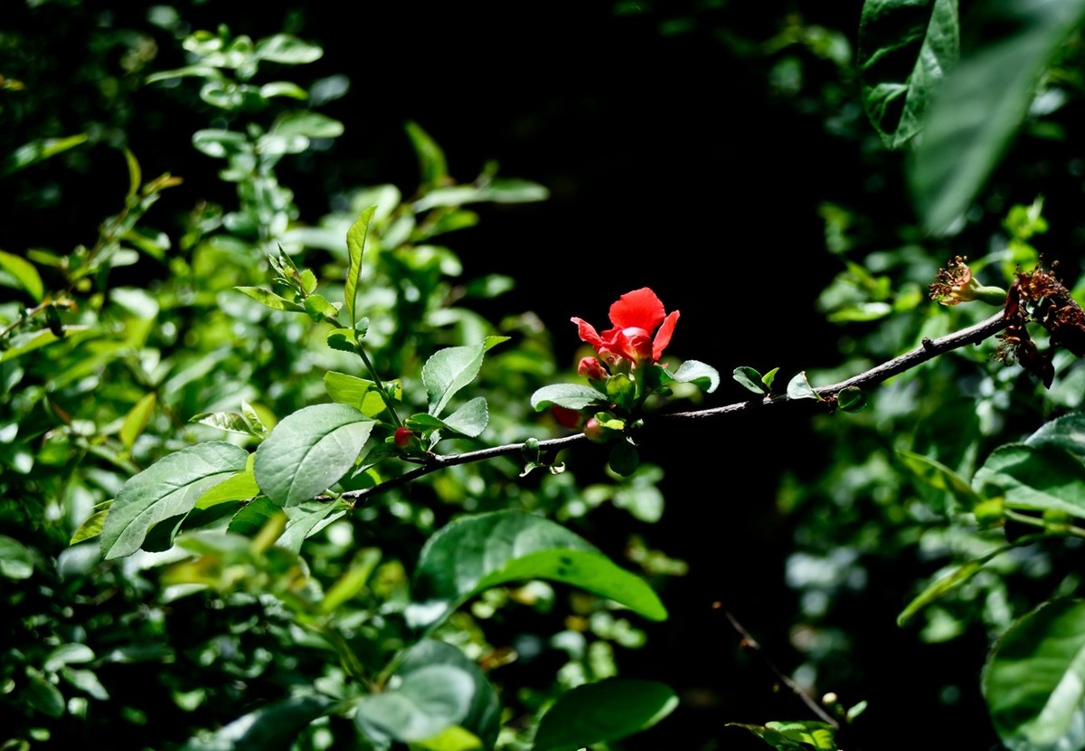 杂拍——春日踏青