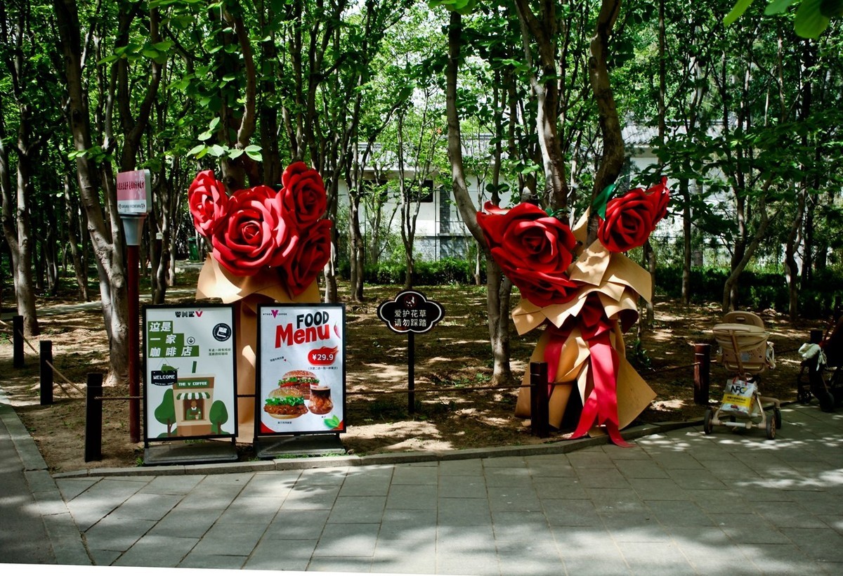 杂拍——春日踏青